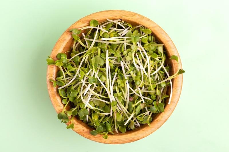 sprouts salad recipe | Protein-Rich Breakfast Indian Recipes