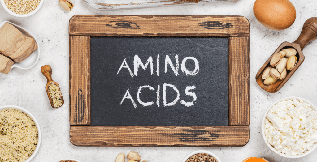 Amino Acids and Overall Health: What You Need to Know 1 Amino Acids