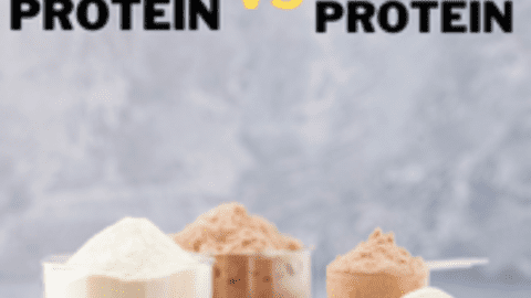 Whey Protein vs. Casein Protein