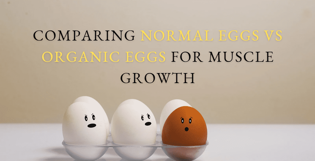 Comparing Normal Eggs vs Organic Eggs for Muscle Growth