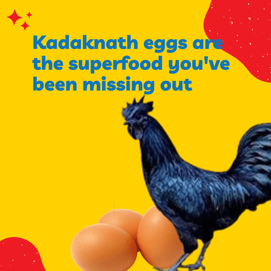 Kadaknath eggs are the superfood you've been missing out
