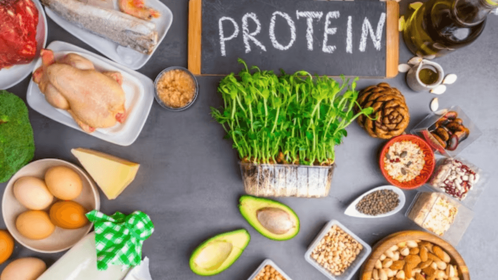 Protein Rich Foods