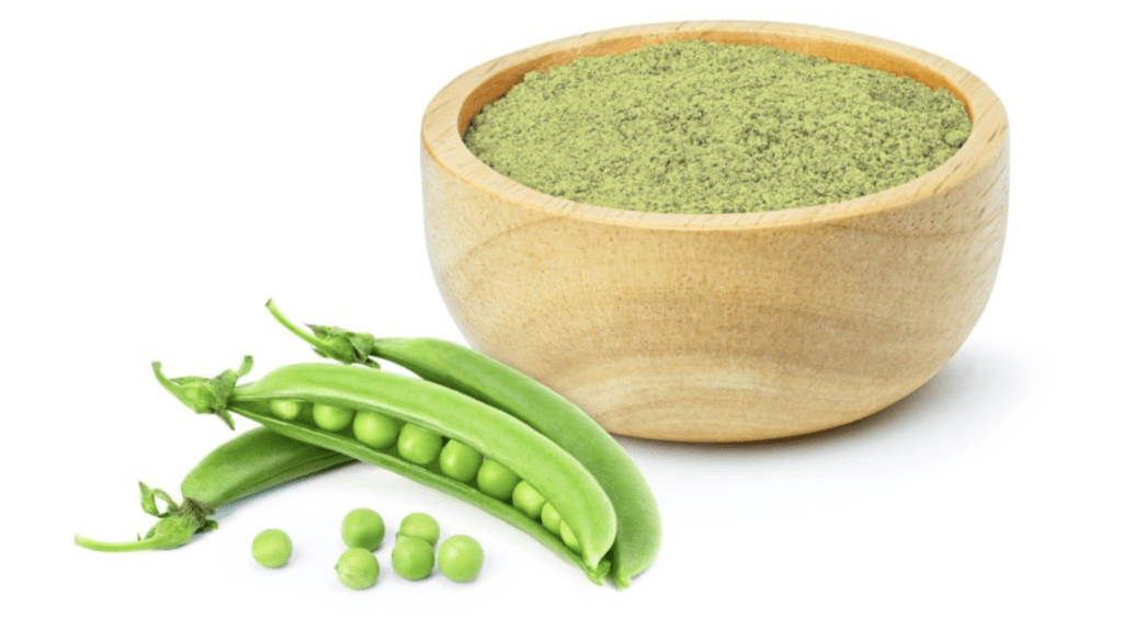 Protein from the Earth The Rise and Benefits of Best Pea Protein Powder
