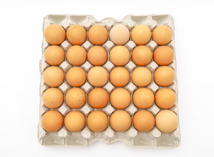 Cracking the Code-Kadaknath Egg for a Healthier You
