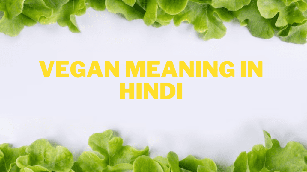 Vegan Meaning in Hindi