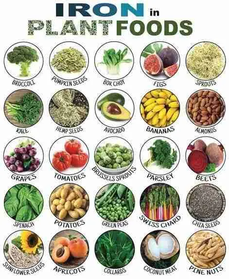 Plan food for Iron Supplements in Women