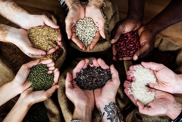 How to Start Seed Cycling