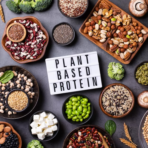 Plant-Based Protein Powder
