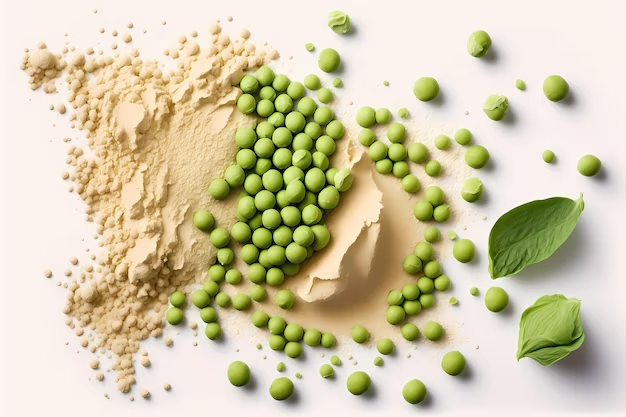 Plant-Based Protein Powder