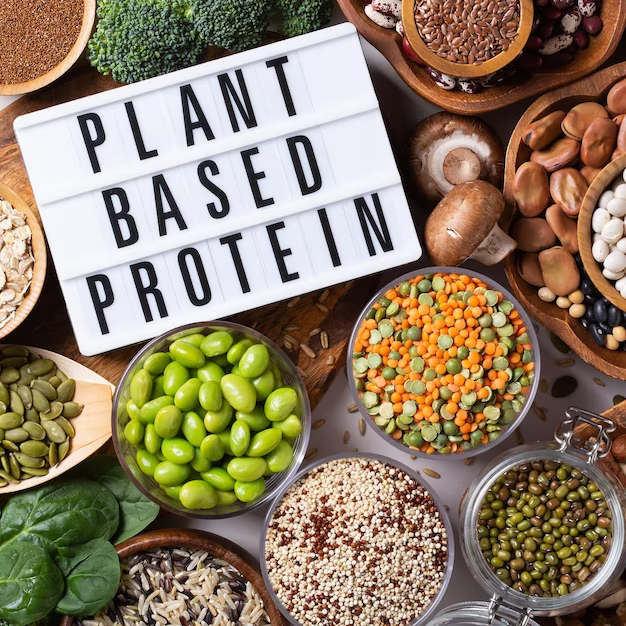 Plant-Based Protein Powder