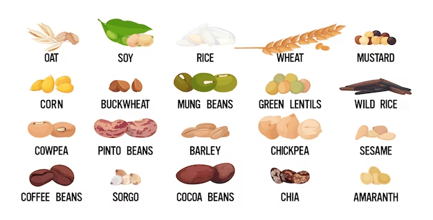 Seed Cycle for PCOS