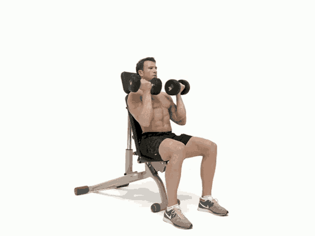 Arnold Press | shoulder exercises in gym