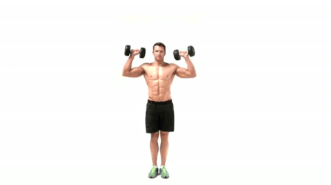 Dumbbell Shoulder | shoulder exercises in gym