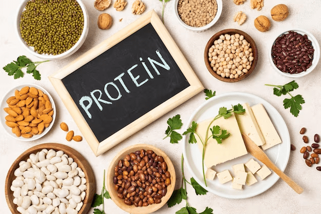 Plant Based Protein Powder