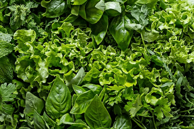 Leafy Greens | Iron-Rich Foods for Vegetarian Diet