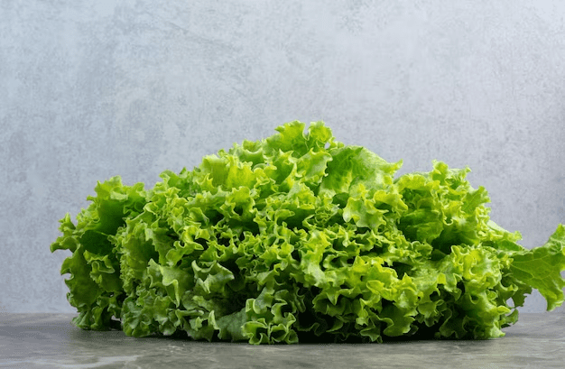 Kale | Iron-Rich Foods for Vegetarian Diet
