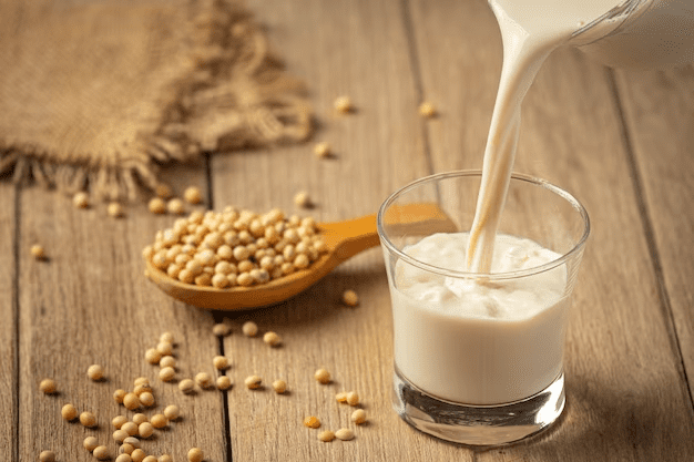 Plant-Based Milks | Iron-Rich Foods for Vegetarian Diet