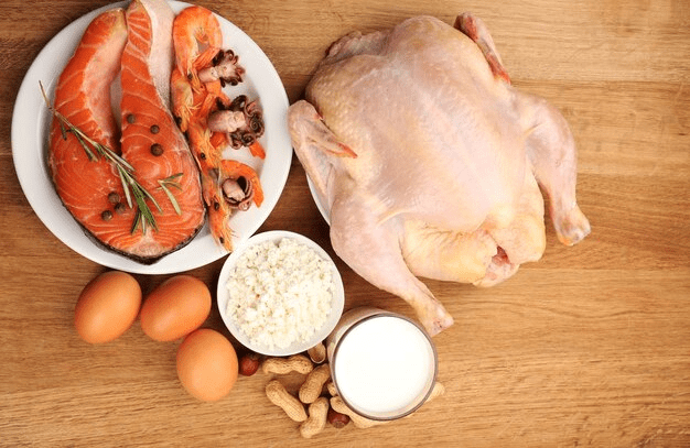 Chicken Protein Benefits